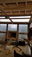 20181125_111608.jpg