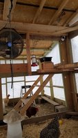 20181125_111622.jpg