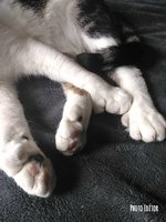 Photo Editor-20181129_124342.jpg