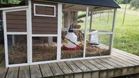 20180724_164828.jpg 20180724_164828.jpg
