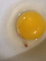 A39F57F7-1434-48C1-AB5A-3183B2C6A77E.jpeg