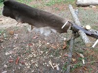 IMG_6995.JPG