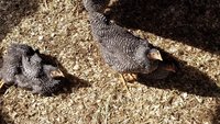 20181025_115017.jpg