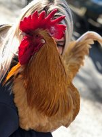 149D3983-A094-4AFD-8E38-2439CF5DBE1D.jpeg