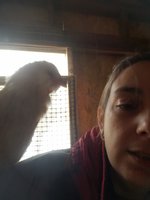 20181130_140925.jpg