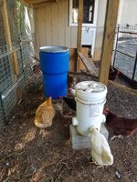 14 Gallon Waterer (2).jpg