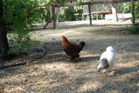 IMGP0651.JPG