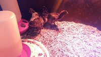 20181130_204631.jpg