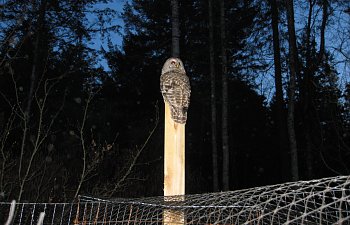 IMG_8143.JPG