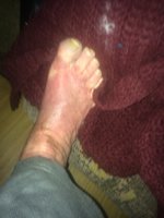 IMG_0025.JPG IMG_0025.JPG