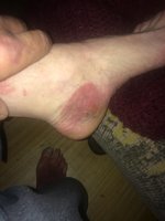 IMG_0039.JPG IMG_0039.JPG