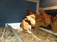 20181203_105819.jpg
