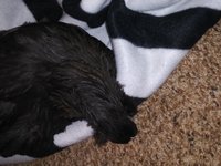 20181024_031359.jpg