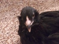 20181018_023322.jpg