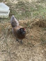 0E37A955-AAB7-4C97-89BB-AD581155DF35.jpeg