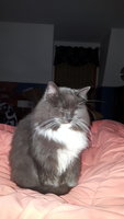 20181204_010954.jpg