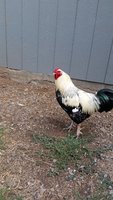 20180819_084858.jpg