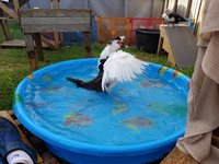 20180702_080034.jpg
