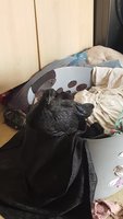 20181105_123910.jpg