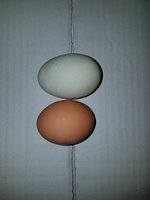 20181207_154825.jpg