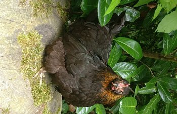 IMG_20180824_153652.jpg