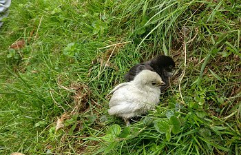 IMG_20180824_163506.jpg