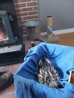 20181208_115010.jpg