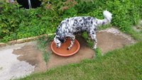20140630_154525.jpg