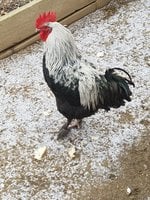 20181208_104946.jpg