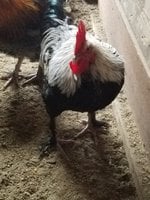 20181208_132518.jpg