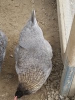 20181208_103946.jpg