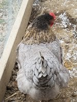20181208_104013.jpg