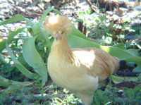 new camera 012.JPG