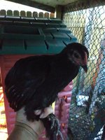 IMG_20180906_192131.jpg