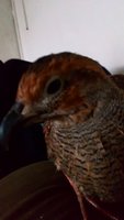 DSC_0020.JPG