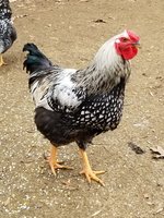 20181208_142143.jpg 20181208_142143.jpg