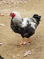 20181208_142120.jpg 20181208_142120.jpg