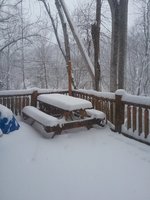 20181209_103837.jpg