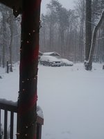 20181209_103749.jpg
