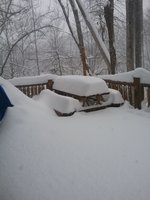 20181209_154559.jpg