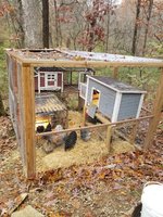 chicken pen 1.JPG