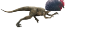 chickenraptor.png
