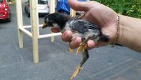 20180607_193907.jpg
