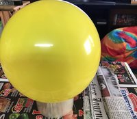 74E43B56-5839-4772-AB4E-849751338861.jpeg