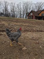 IMG_20181212_131834.jpg