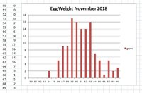 november-egg-weight.jpg