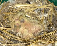 IMG_0034.JPG