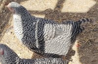 20181214_121725.jpg