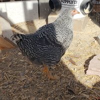 20181214_121652.jpg