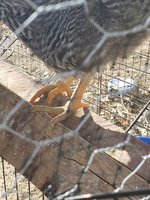 20181214_121131.jpg